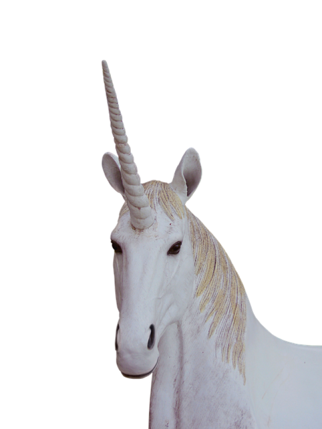 PREFERISCI UNICORNI O SCARAFAGGI?